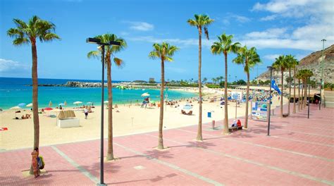 THE 10 BEST Things to Do in Las Palmas de Gran Canaria 